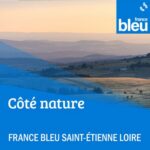 France Bleu Saint-Etienne Loire