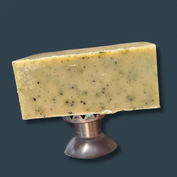 Savon spiruline sans parfum et porte-savon aimanté – Vert l’Essentiel