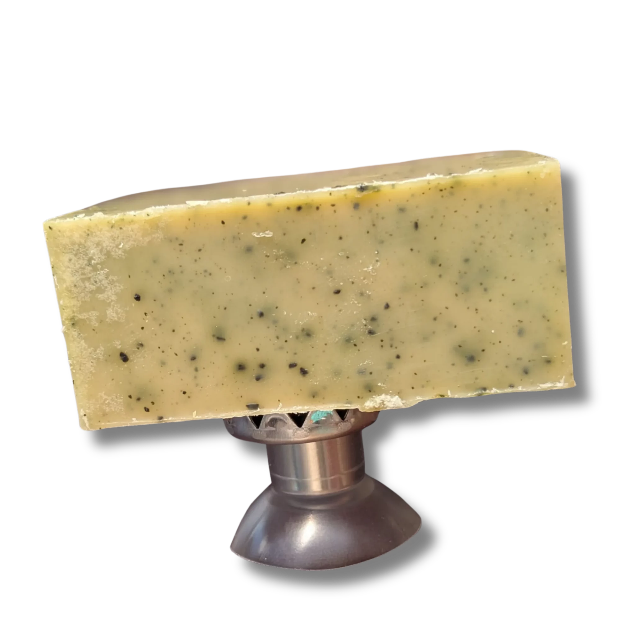 Savon-spiruline_Porte-Savon_Vert-l-essentiel